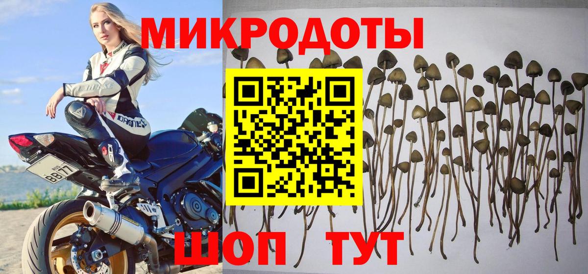 Галлюциногенные грибы прущие грибы  Вход с VPN  где найти   Слободской 
