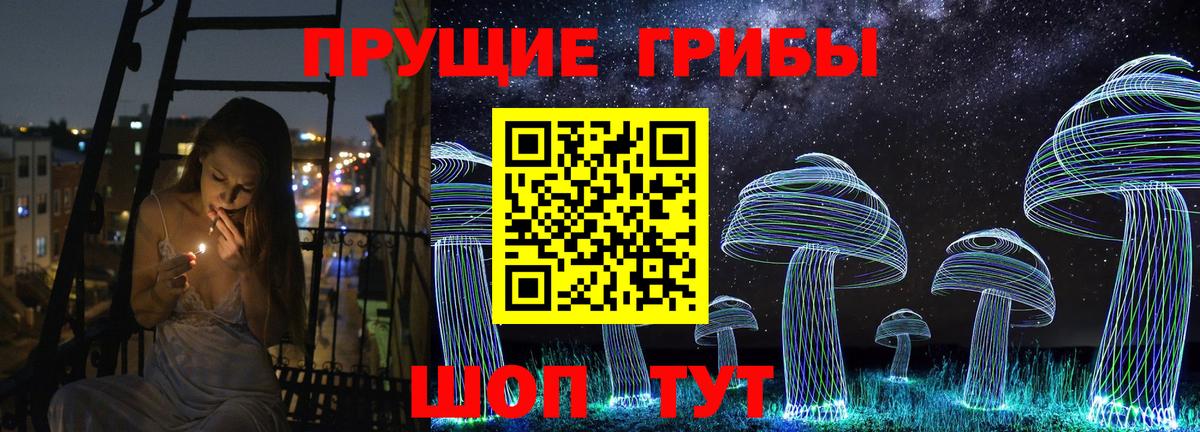 Псилоцибиновые грибы Psilocybe Слободской